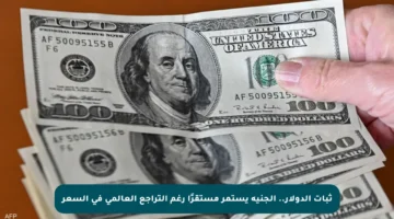 ثبات الدولار.. الجنيه يستمر مستقرًا رغم التراجع العالمي في السعر